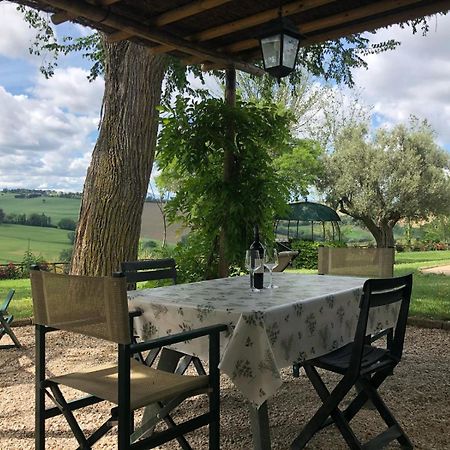 Vigna Sant' Amico Country House Morro dʼAlba Eksteriør bilde