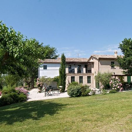 Vigna Sant' Amico Country House Morro dʼAlba Eksteriør bilde