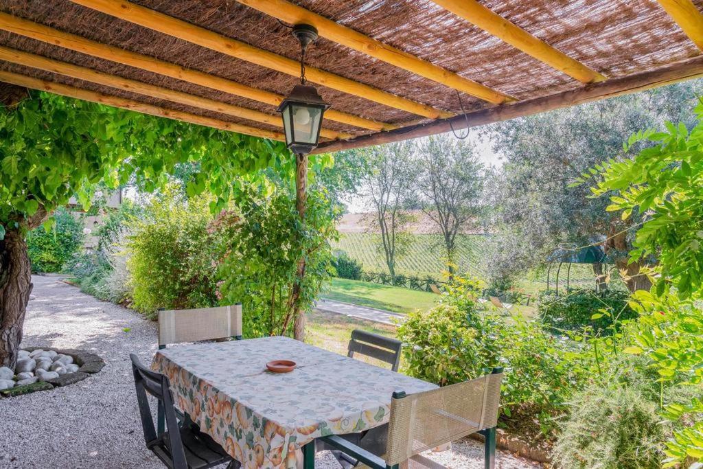 Vigna Sant' Amico Country House Morro dʼAlba Eksteriør bilde