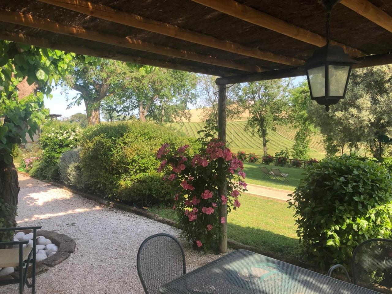 Vigna Sant' Amico Country House Morro dʼAlba Eksteriør bilde