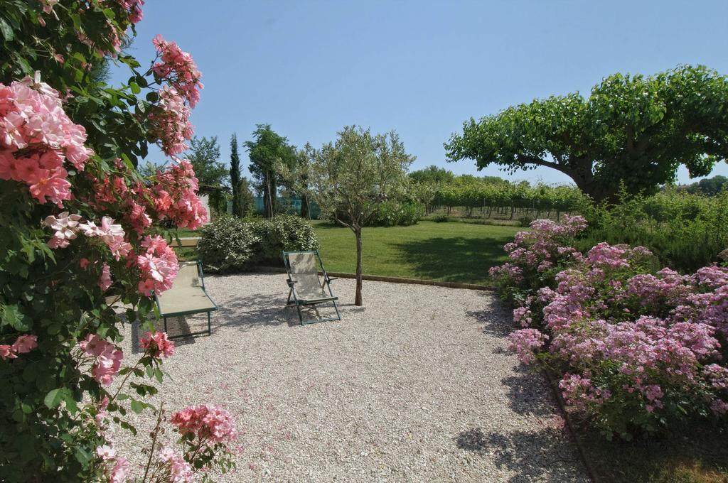 Vigna Sant' Amico Country House Morro dʼAlba Eksteriør bilde